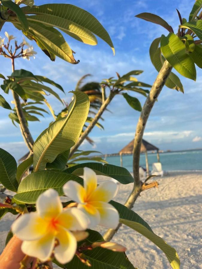 Wind Breeze Sunset View Inn Guraidhoo  Bagian luar foto